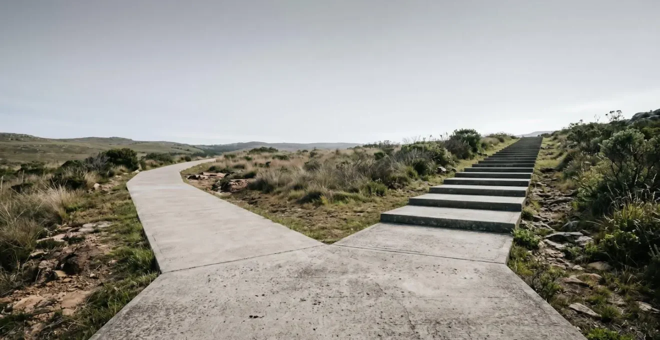 Minimal environmental shot showing two diverging pathways representing strategic decision-making